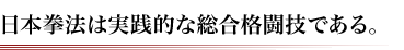 日本拳法は実践的な総合格闘技である。